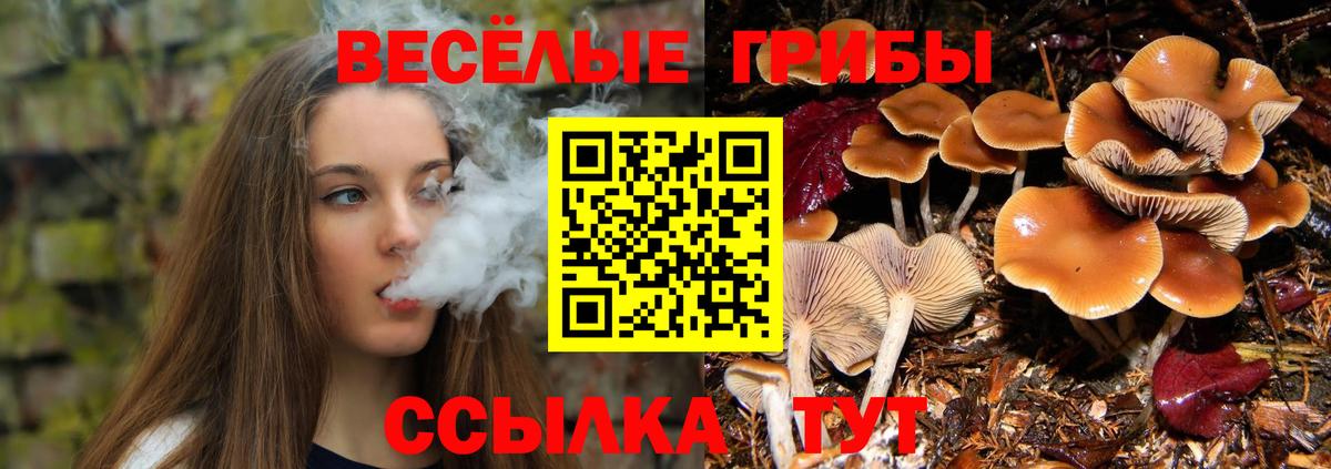 Галлюциногенные грибы Magic Shrooms  Галлюциногенные грибы Cubensis  Курган  Вход с VPN 